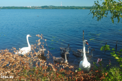 Попрошайки